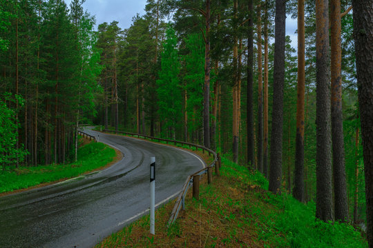 Road and forest in the Punkaharju ridge
