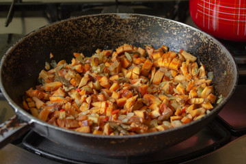 mushrooms cut into pieces