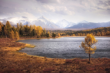 landscape, Altai, Russia