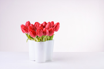 Fresh pink / red tulips with water drops in a modern white vase, on a white background with copy space.