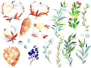 Watercolor winter elements. Handpainted  watercolor clipart with cotton, branches, berries and fir cones. Perfect for you postcard design, wallpaper, print, invitations, packaging etc. - 235892448