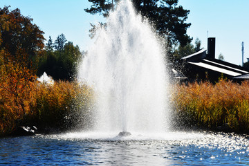 Fototapeta na wymiar Beautiful fountain on a green background . Nature