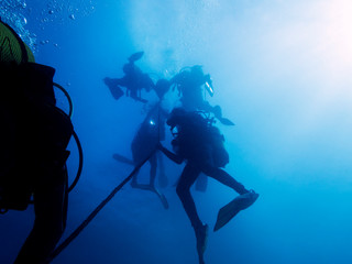 divers making a safety stop near the surface
