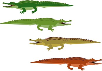 Set of green vector crocodiles, isolated vector illustration
