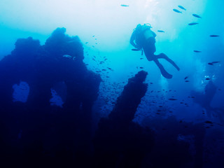 people diving on the remains of a wrecked ship