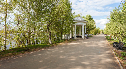 clear summer day in the city park among trees and passersby