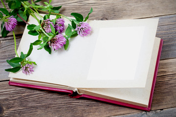 photo album and clover flowers