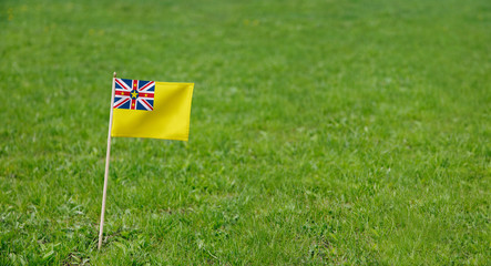 Niue flag. Photo of Niue flag on a green grass lawn background. Close up of national flag waving outdoors.