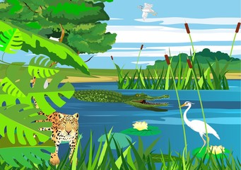 Wetlands, on the lake, vector landscape, jaguar, american pantanal