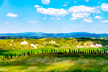 Fototapeta na wymiar Fields in Tuscany, Italy