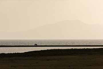 Song Kul lake in Kyrgyzstan in the magic evening light