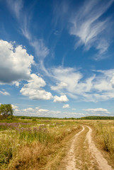 Fototapeta na wymiar summer landscape with the road through beautiful meadows
