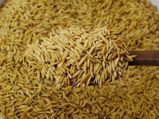 wheat grains of rice