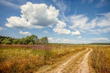 summer landscape with the road through beautiful meadows
