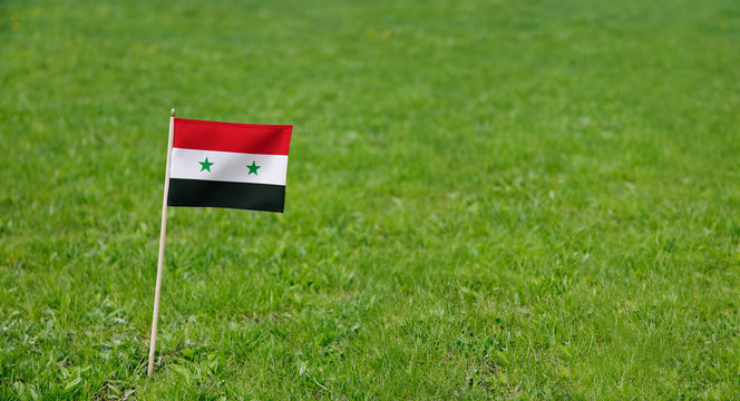 Syria flag. Photo of Syrian flag on a green grass lawn background. Close up of national flag waving outdoors.