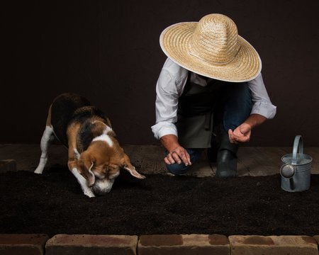 Man with his dog gardening