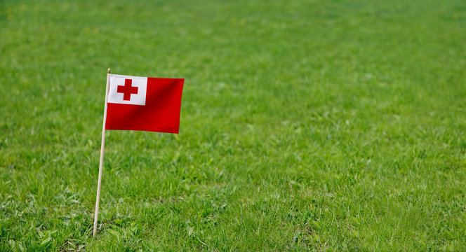 Tonga flag. Photo of Tonga flag on a green grass lawn background. Close up of national flag waving outdoors.