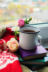 Cozy still life: mug of hot tea, books and flowers with warm plaid on windowsill. Rainy day outside. Reading, autumn and winter mood.