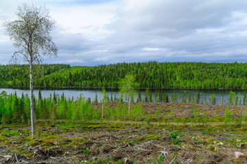 Landscape of the Kuntijarvi lake