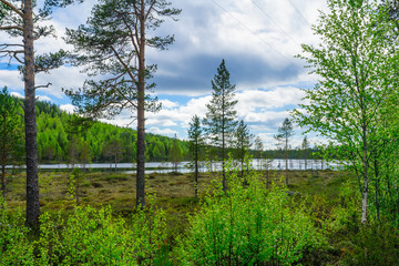 Obraz premium Landscape of the Kuntijarvi lake