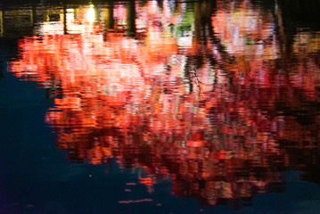 Fototapeta premium Lighten Up Autumn Leaves at Night in Kyoto
