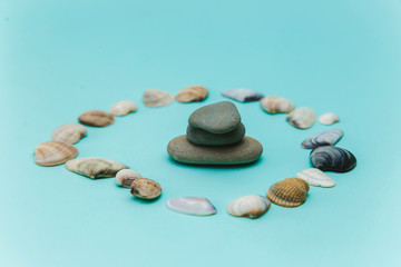 Seashells and stones, souvenirs brought from vacation on a blue background