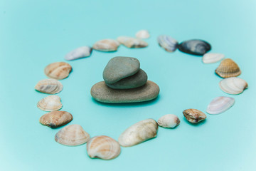 Fototapeta na wymiar Seashells and stones, souvenirs brought from vacation on a blue background