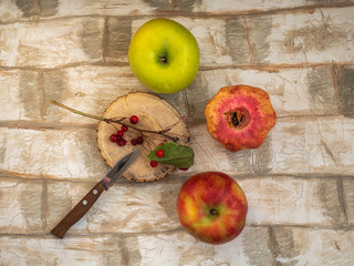 Fruit set of apples, pomegranate, a sprig of wild apples
