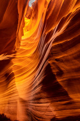 BEAUTIFUL WAVE SANDSTONE WALL OF UPPER ANTELOPE,ARIZONA