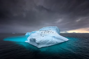Gardinen Pinguine auf einem riesigen Eisberg in der Antarktis © Michail