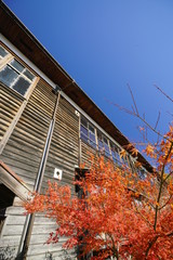 木造校舎の小学校と紅葉