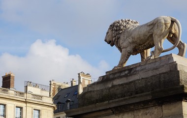 Statue lion Place de la Concorde Paris