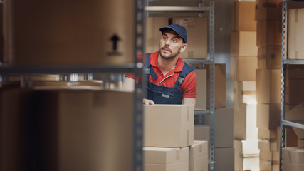 Warehouse Worker Collects Cardboard Boxes and Parcels of the Shelf and Puts them On Cart. 