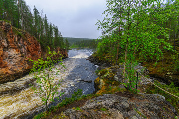 Kiutakongas rapids in Oulanka National Park