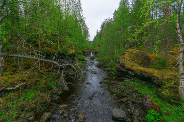 Patoniva river in Oulanka National Park
