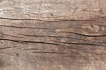decay wood, background