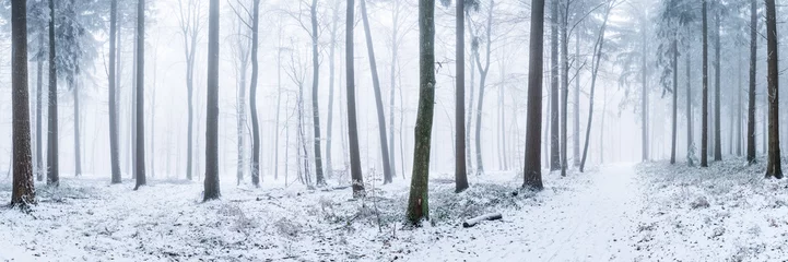 Gardinen Wald Panorama im Winter © eyetronic