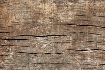 decay wood, background