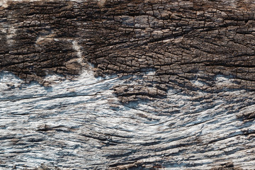 decay wood, background