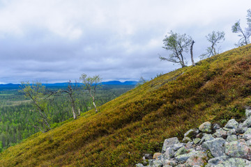 Ukko-Luosto Fell, in Pyha-Luosto National Park