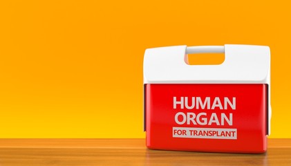 Cooler for human organ on orange background - obrazy, fototapety, plakaty