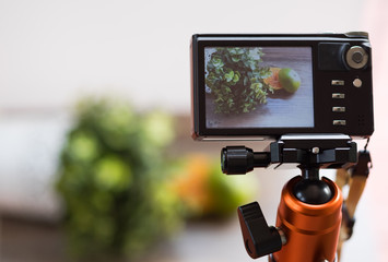 Close up of a camera display of orange and green leaves with blurred background of the objects.