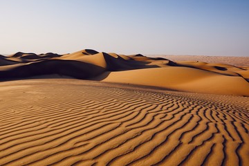 Sand dunes in desert landscape