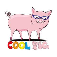 Cool pig in sunglasses on white background.