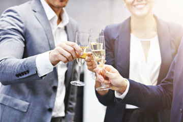 Group of business people celebrating success