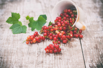 Juicy berries of raw red currant in a cup on a wooden white table. Natural light. Concept of healthy food