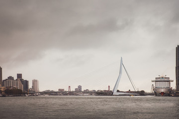Fototapeta na wymiar Erasmus bridge and city scape of Rotterdam