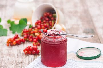 Red currants and jar of jam in garden. Natural light.