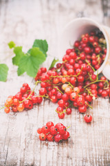 Juicy berries of raw red currant in a cup on a wooden white table. Natural light. Concept of healthy food