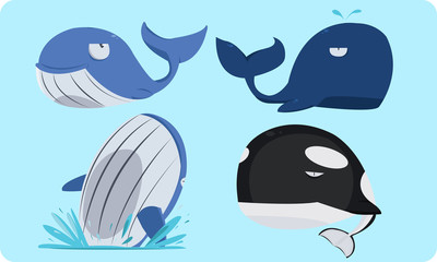 Obraz premium whale cute collection vector illustration